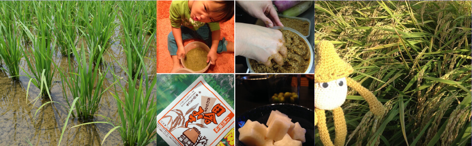 糀ナチュレの写真4